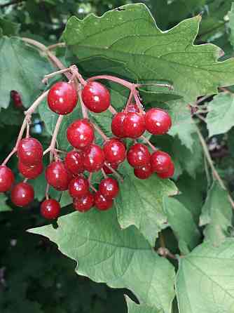 Продам дом с земельным участком в г. Иловайск Иловайск