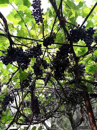 Продам дом с земельным участком в г. Иловайск Иловайск