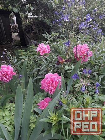 Продам дом с земельным участком в г. Иловайск Иловайск - изображение 4