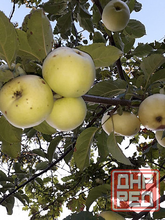 Продам дом с земельным участком в г. Иловайск Иловайск - изображение 2