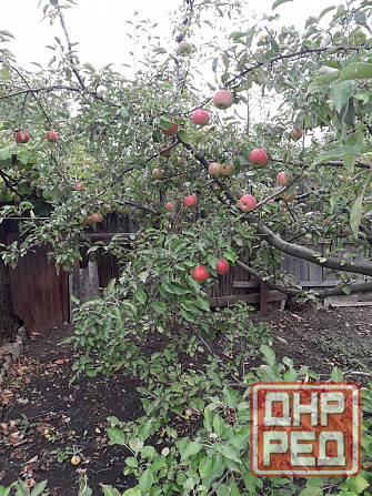 Продам дом с земельным участком в г. Иловайск Иловайск - изображение 5