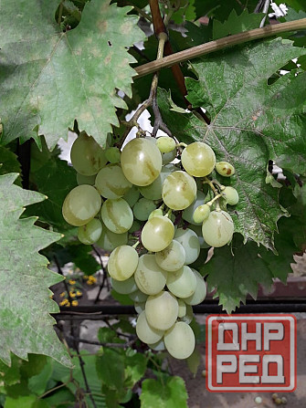 Продам дом с земельным участком в г. Иловайск Иловайск - изображение 6