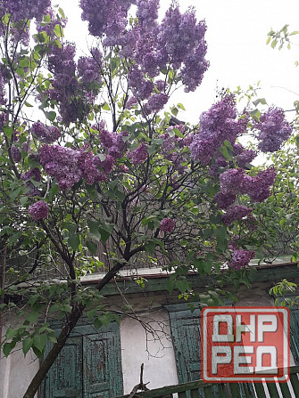 Продам дом с земельным участком в г. Иловайск Иловайск - изображение 11