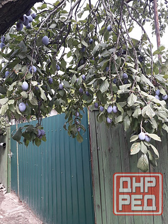 Продам дом с земельным участком в г. Иловайск Иловайск - изображение 8