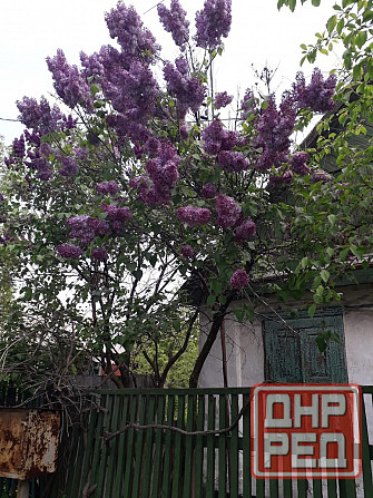 Продам дом с земельным участком в г. Иловайск Иловайск - изображение 7