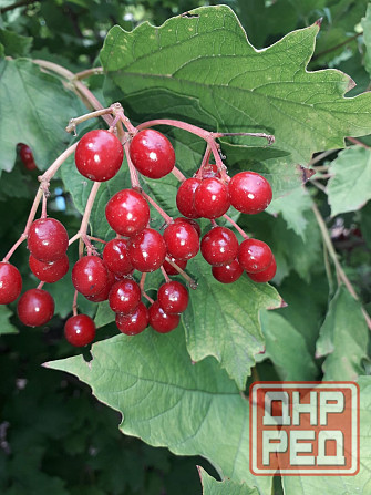 Продам дом с земельным участком в г. Иловайск Иловайск - изображение 1