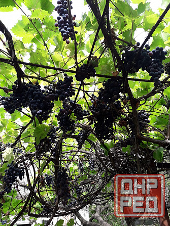 Продам дом с земельным участком в г. Иловайск Иловайск - изображение 3