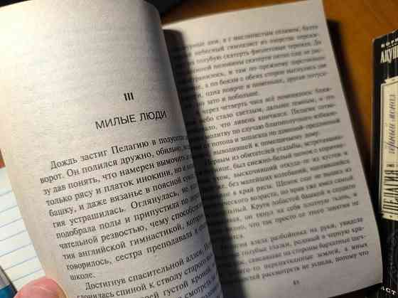 Книги Борис Акунин Донецк