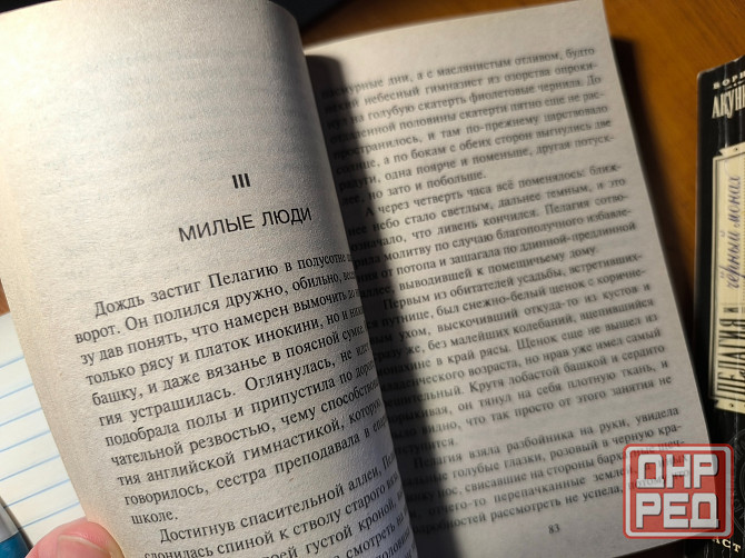 Книги Борис Акунин Донецк - изображение 2