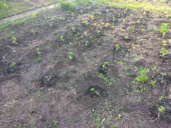 Дача 12 м² на участке 6,5 сот. Донецк