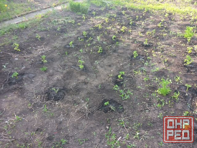 Дача 12 м² на участке 6,5 сот. Донецк - изображение 3