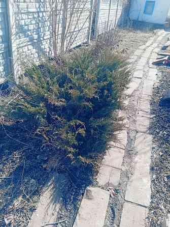 Продам дом от собственника Донецк