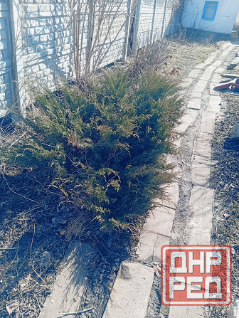 Продам дом от собственника Донецк - изображение 5