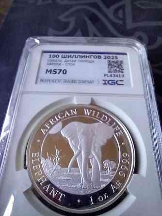 Унции серебро в слабах в ассортименте Донецк