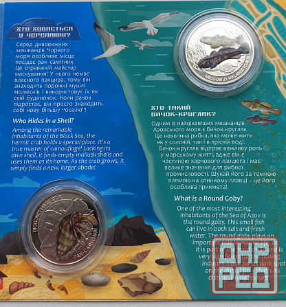 5 гривен набор жители морских глубин Донецк - изображение 4