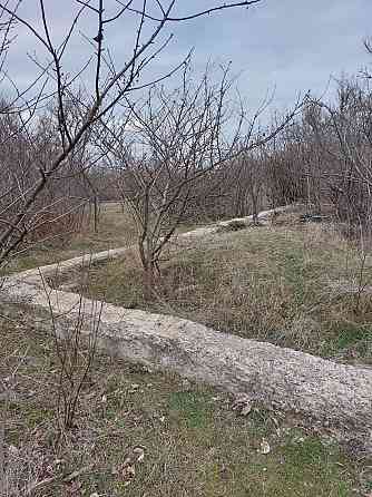 Продаетсч участок под Бердянском Бердянск