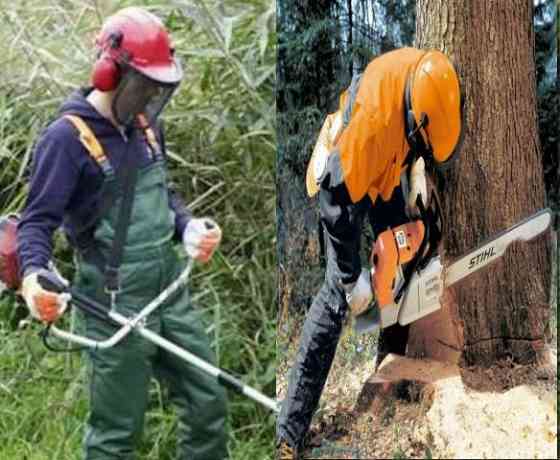 Покос травы,спил деревьев Луганск