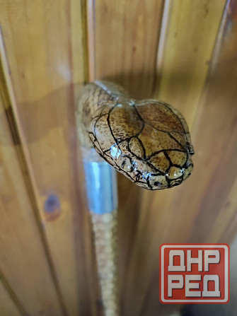 Трость для ходьбы Луганск - изображение 8