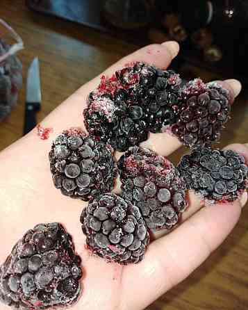 Ежевика Торнфри Донецк