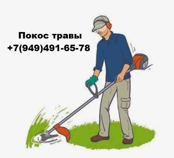 Спил и обрезка деревьев. Покос травы. Донецк