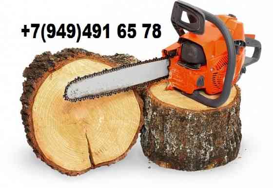 Спил и обрезка деревьев. Покос травы. Донецк