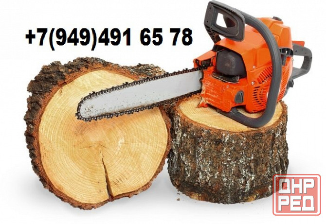 Спил и обрезка деревьев. Покос травы. Донецк - изображение 1