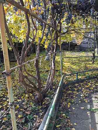 Продается 4-х комнатный дом, ул. XVIII Партсъезда Донецк