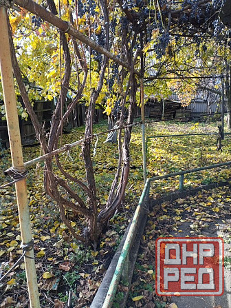 Продается 4-х комнатный дом, ул. XVIII Партсъезда Донецк - изображение 3