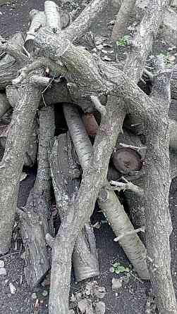 Фруктовые ветки Донецк