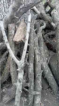 Фруктовые ветки Донецк