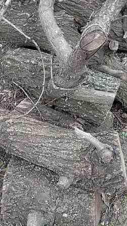 Фруктовые ветки Донецк