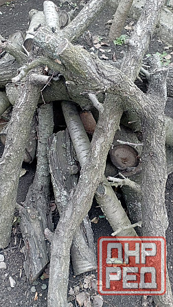 Фруктовые ветки Донецк - изображение 2