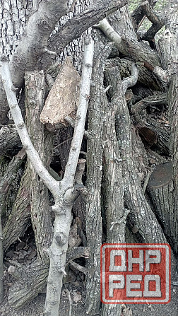 Фруктовые ветки Донецк - изображение 1