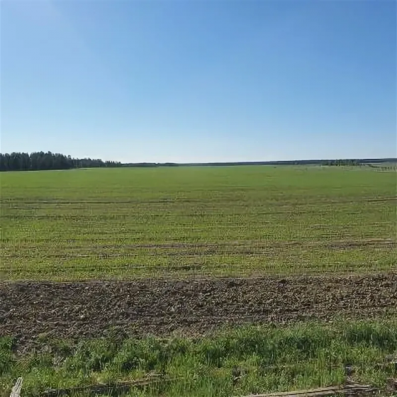 Продам земельный участок 6га Донецк