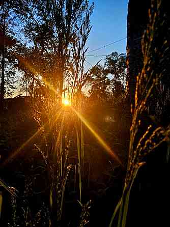 требуются инструктора и охрана на верёвочный парк "лень в пень" Донецк