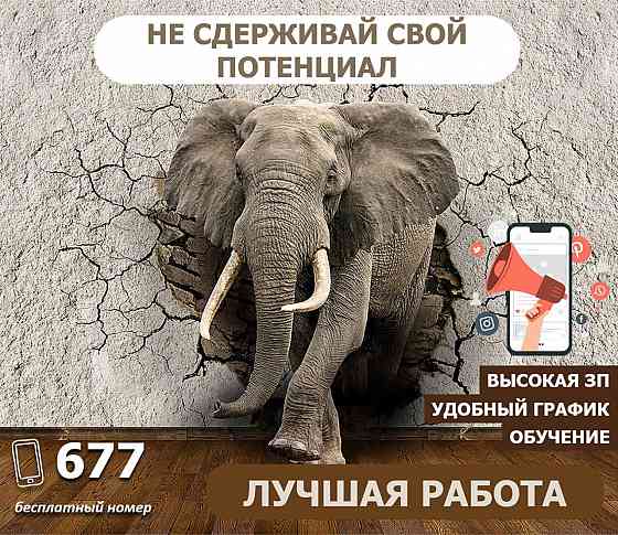 Грузчик - комплектовщик ночной Донецк