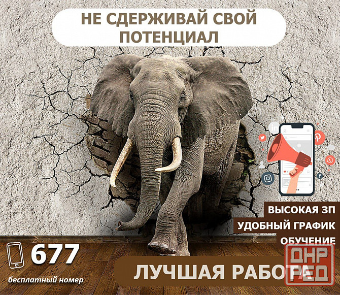 Грузчик - комплектовщик ночной Донецк - изображение 1