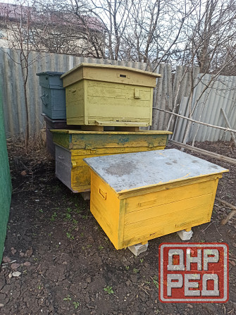 Продам ульи Макеевка - изображение 1