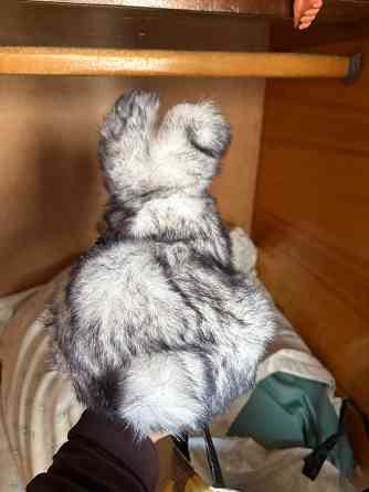 Продаю Макеевка