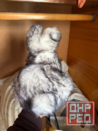 Продаю Макеевка - изображение 2