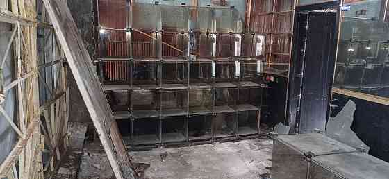 Модульная стекляная витрина Макеевка