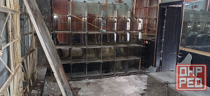 Модульная стекляная витрина Макеевка - изображение 2