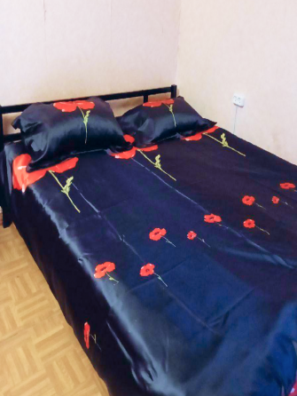 Недорогая 1-комнатная квартира от собственника в центре Донецка Донецк