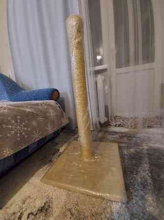 Забава для котов и кошечек Макеевка