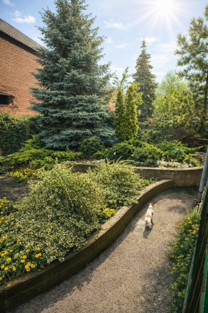 Дом в Макеевке, Гвардейка Макеевка