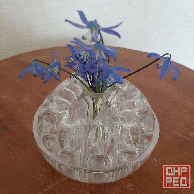 Вазочка стекло с отдельными лопостями Донецк - изображение 3