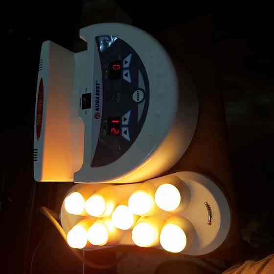 Проектор для массажа Донецк