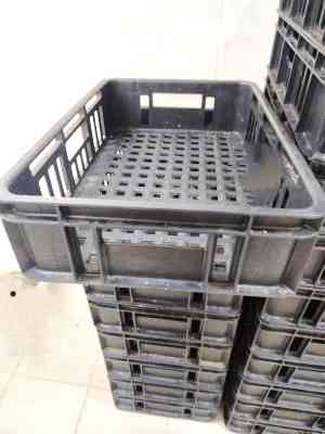 Ящик пластиковый для заморозки мяса Луганск