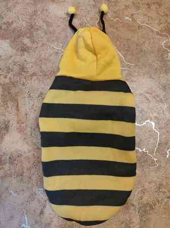 Толстовка Пчела. Одежда Для животных. Донецк