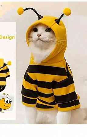 Толстовка Пчела. Одежда Для животных. Донецк